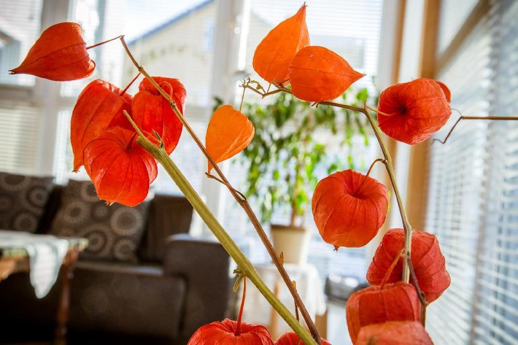 Ferienwohnung "Gaby" Freyung Extérieur photo